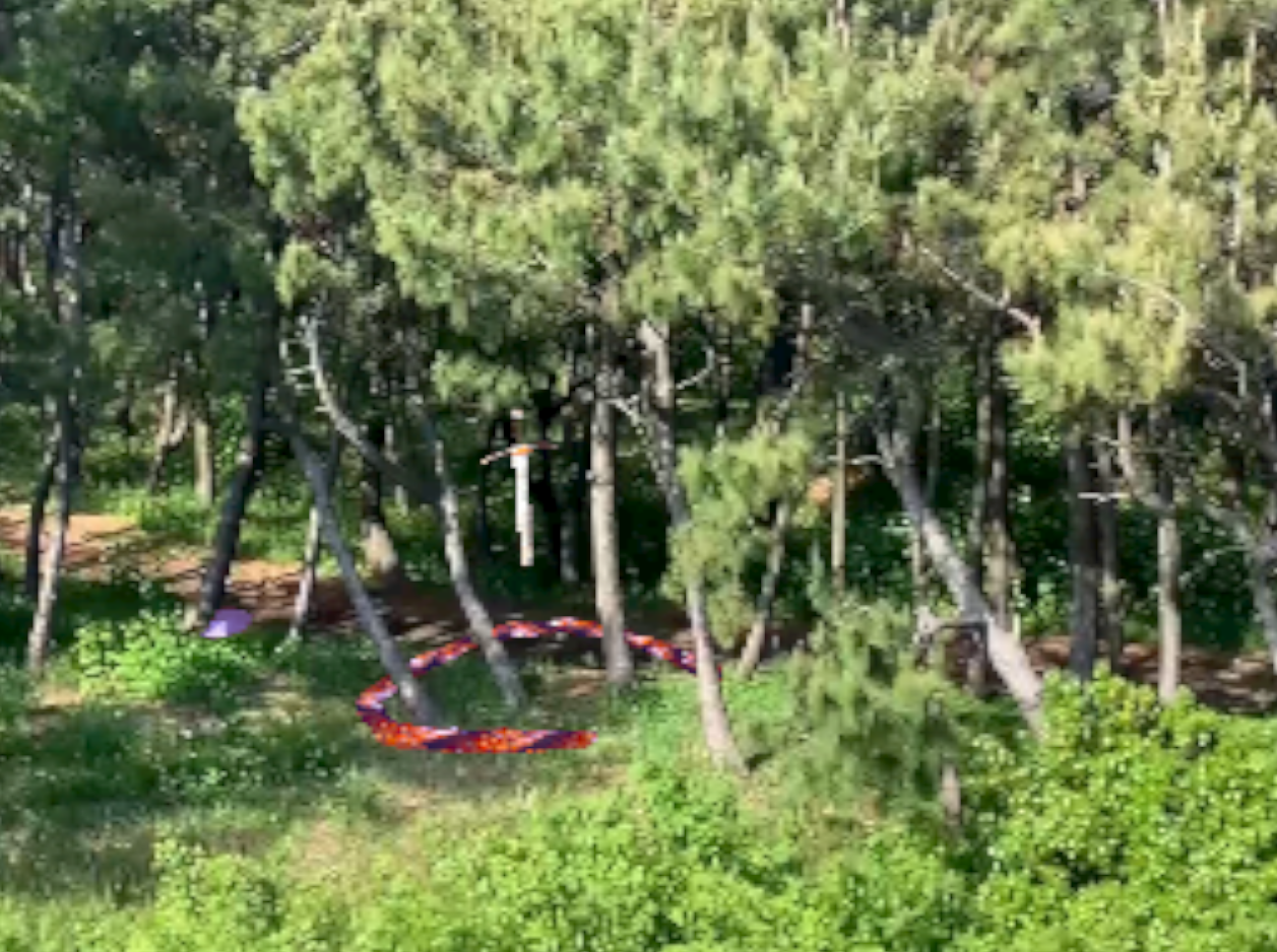 Being a forest snake despite rising water level cover