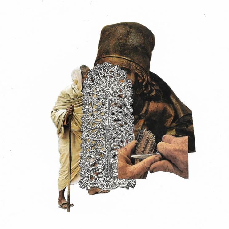 policefala/aminonaomi